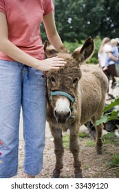 Girl Petting Miniature Donkey