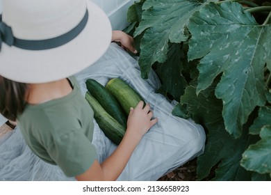 Girl picking zucchini's from a garden 