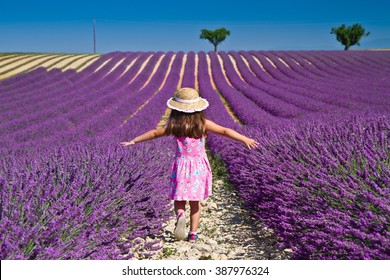 Girl In Pink Dress Walking In Lavender Field