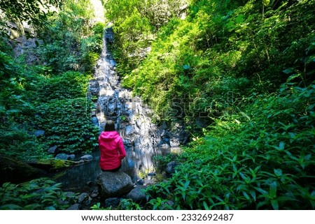 Girl in a pink jacket sits and admires unique, beautiful waterfall on Canungra Creek Circuit trail, Lamington National Park (O'Reilly's), Gold Coast, Queensland, Australia	