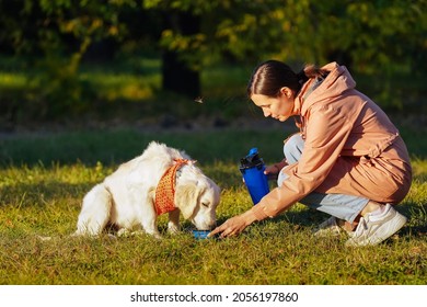 Girl in a pink raincoat gives water to a golden retriever puppy in a bright orange bandana from a portable drinking bowl in a dog park. Taking care of your pet on a walk