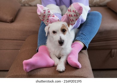 A Girl In Pink Socks Put Her Feet On An Ottoman And Has Fun Playing With A Dog, Lifestyle Concept
