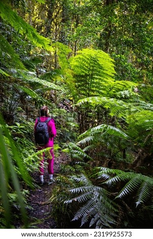 Girl in pink tracksuit hikes in Gondwana rainforest and admires beautiful tree ferns and other plants, Dorrigo National Park, waterfall way, New South Wales, Australia	