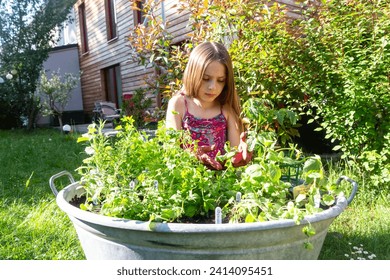 Girl planting herbs in zinc tub in the garden - Powered by Shutterstock