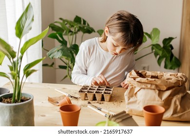 Girl planting seeds for seedlings in small recyclable peat pots, seedling container. Children learn to grow vegetables at home or in the garden. - Powered by Shutterstock