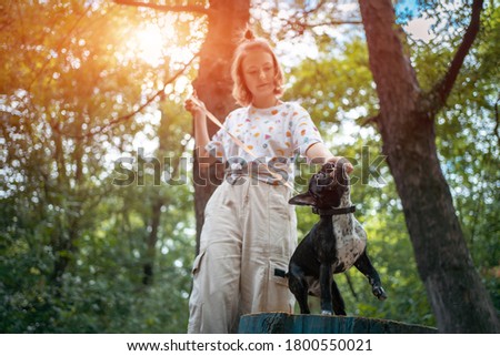 girl play with cute little frenchie bulldog puppy in park at summer day