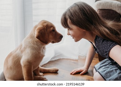 A girl is playing with a cute labrador retriever puppy. New family member. The concept of care and care, love and friendship for animals - Powered by Shutterstock