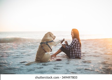 Girl playing with dog on beach