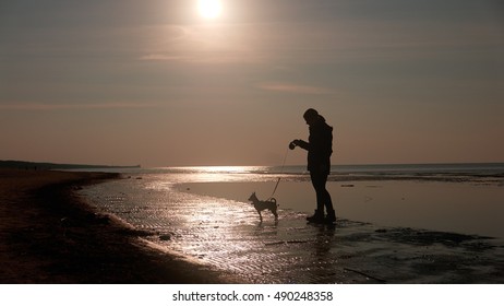 Girl playing with dog on a beach