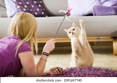 Girl playing with her cat