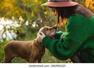 The girl is playing with her dog. A beautiful dog and its owner. Taking care of your pet. Walking the dog. A funny and beautiful pet. Trust and love in the eyes of the pet.