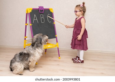 A Girl Is Playing School With Her Mongrel Dog. On The Blackboard, She Shows Her Pet The Letters. The Dog Looks Attentively At His Mistress