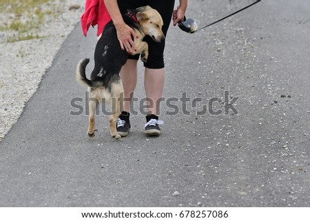 Girl playing and training commnads the dog