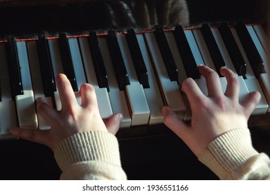The Girl Plays Musical Reproduction On The Piano.
