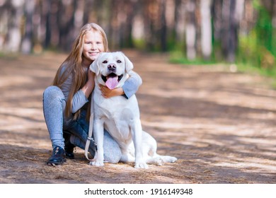 Girl Posing In An Embrace With A White Dabrador. Walking In The Park With The Dog