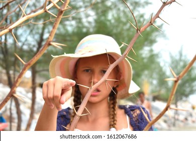 Girl Pricked By A Thorn. The Sharp Branches Of The Bush. The Child Is In Danger In The Forest. Prick Your Finger With A Sharp Thorn.