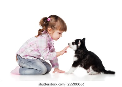 Girl With A Puppy Husky, Isolated On White