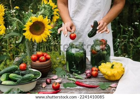 the girl puts cucumbers, tomatoes, dill for pickling, preparations for the winter in jars. 
Harvest of vegetables, zucchini, pumpkins, squash, onions, chili peppers, garlic, peas. 
