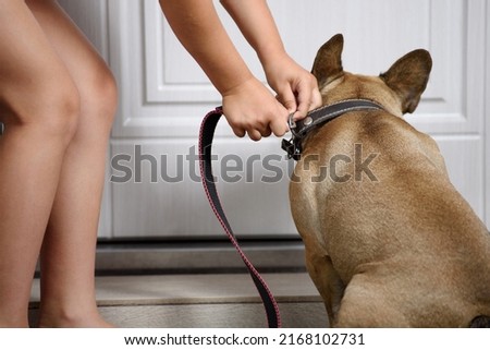 Girl puts a leash on her dog to go for a walk
