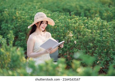 the girl reads in the park
