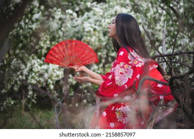 Girl in the red kimono with the hand fan in the apple garden concept.