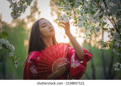 Girl in the red kimono with the hand fan in the apple garden concept.