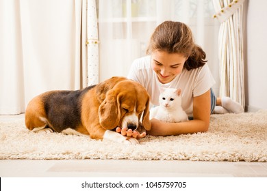 the girl is relaxing with her pets - Powered by Shutterstock