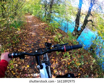 Girl Rides Bicycle Through Forest. Girl Rides Bike Along Path In Forest In Autumn With Sunlight.  Concept Adventure Active Lifestyle Sports. View From First Person Perspective