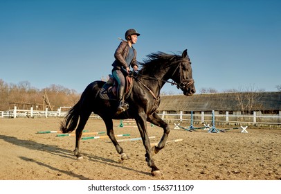 Girl Rides A Horse In The Arena