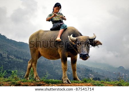 Girl rides a water buffalo