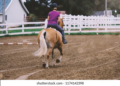 Girl Riding Haflinger Horse For English Jumping Event At County Fair Equine Show.  White Fence In Background Of Arena.