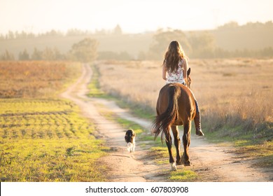 Girl riding her horse on a gravel road with het dog.