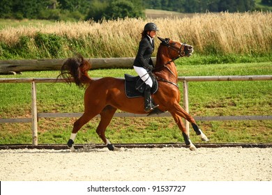 Girl Riding A Horse