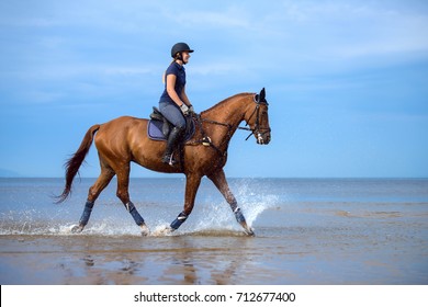 5,219 Woman Horse Riding Beach Images, Stock Photos & Vectors ...