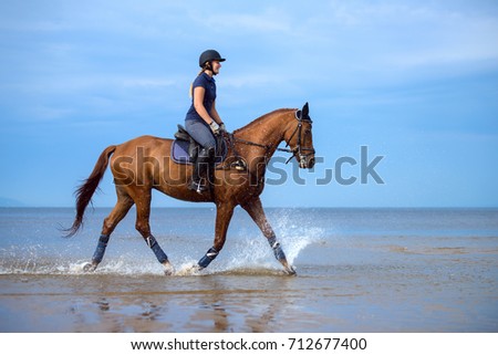 Girl riding a horse on coastline at the beach in early morning. Equestrian sport.