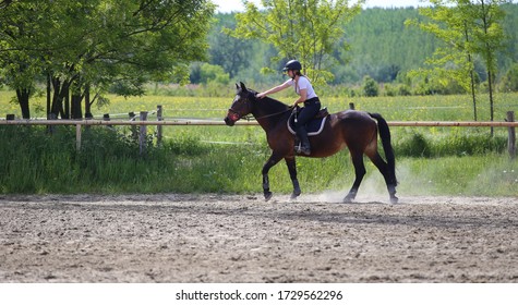 Pony Club Images Stock Photos Vectors Shutterstock