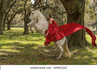 Girl Riding A White Azteca Mare Horse