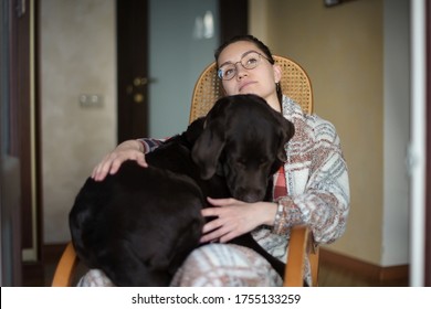 A Girl In A Rocking Chair Sits With A Big Dog On Her Lap. A Brown Labrador Kneeling At His Mistress. Big Dog And Fragile Girl