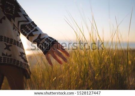 Girl running hand through the tall grass thinking about the small things in life. With beautiful golden light from the sun setting in the background. 