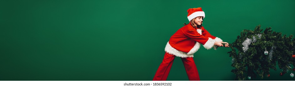 Girl In Santa Claus Dress Pulling A Christmas Tree For Setting It Up. Girl Dressed As Santa Claus Setting Up A Christmas Tree.