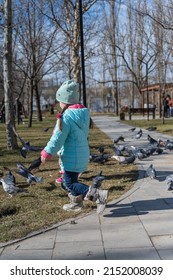 A girl scares the pigeons in the city park. A flock of birds eats sitting on the path. A child runs and scares the birds.