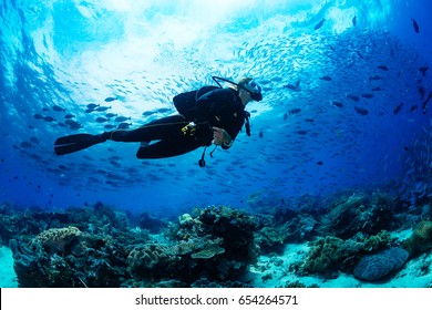 Buceo con buceo en arrecife tropical con fondo azul y pescado de arrecife