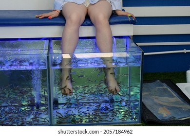  The girl sits with her legs stuck in an aquarium with special fish that eat the dry skin of her feet.