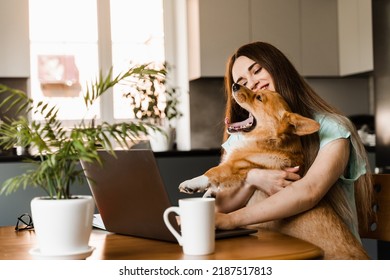 Girl Sitting With Laptop And Hug Corgi Dog At Home. Remote Work In House. Girl Play With Lovely Welsh Corgi Pembroke In Break At Online Work. Lifestyle With Domestic Pet