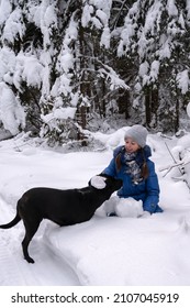 Girl is sitting on her knees in snowdrift, and big black dog is standing next to her. Girl strokes her pet. Fun walk of friends in  winter forest. Vertical photo