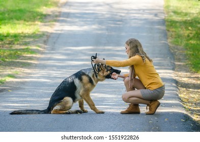 Girl Sitting On The Road In The Woods With A German Shepherd Dog. The Training Of The Animal. A Young Naughty Puppy Bites The Owner's Hand, Does Not Give A Paw. On The Autumn Background Of Trees.