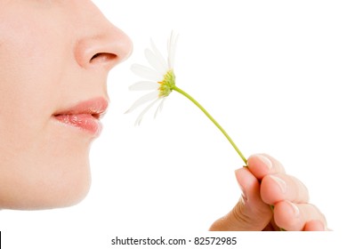 Girl smelling a flower on a white background.