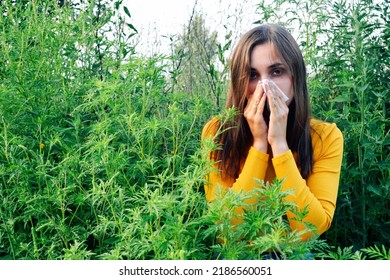 The Girl Sneezes Against The Background Of Ragweed. Ambrosia Pollen Allergy Concept.