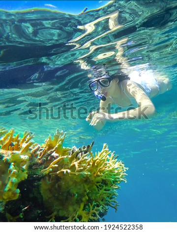 girl snorkeling underwater in the sea corals 
