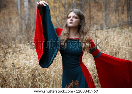 The girl the sorceress in a medieval dress on the field in the fall.